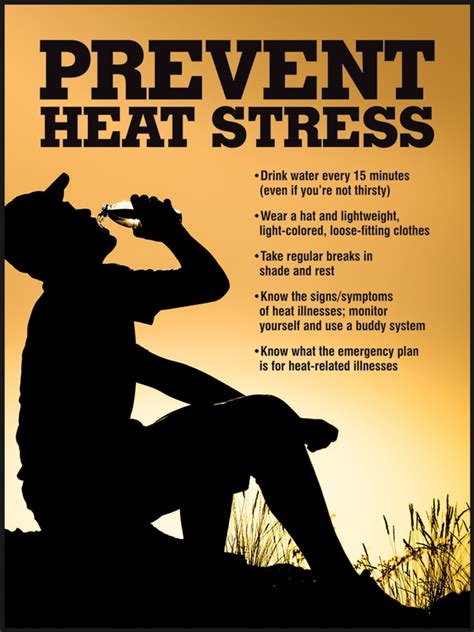 heat stress safety message